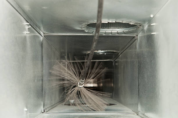 Air Duct Mold Removal in Sebring, FL