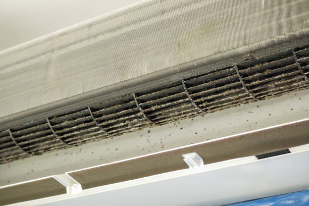 Best Residential Air Duct Cleaning  in Sebring, FL