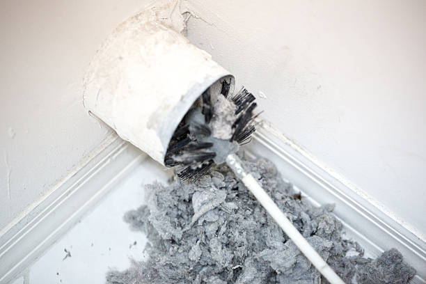 Best Air Duct Mold Removal  in Sebring, FL